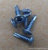 self drilling screw