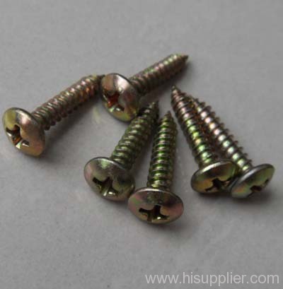 Stainless Steel Self Tapping Screw