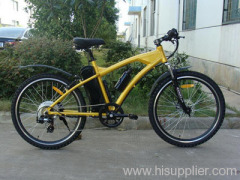 electric bike