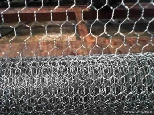 Hot-dip Galvanzied Hexagonal Wire Mesh