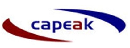 Capeak Digitech.Co.,Ltd,