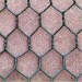 pvc hexagonal wire mesh