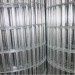 pvc welded wire mesh