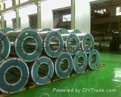 cold rolled grained silicon steel coil