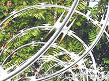 galvanzing razor wire