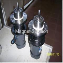 magnetic drive sealless motor