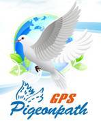 Top Fly Technology Co., Ltd.