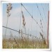 Grassland Fence mesh