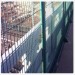 bridge protection netting