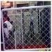 Galvanized Guarding Mesh fence