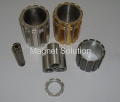 permanent magnet rotors