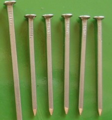 Square Nail Clips