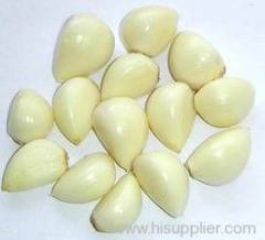 peeled garlic clove