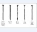 wire collated coil nail