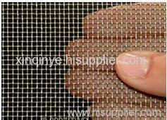 Galvanized Square Wire Mesh