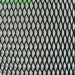 Heavy Expanded Mesh