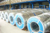 Galvanized Steel Coils