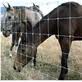 Horse fence