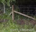 through the fence