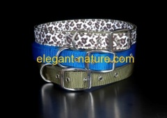 dog collar