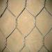 Hexagonal Wire Mesh