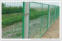 Wire Mesh Fence