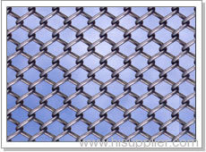 Black Chain Link Fence