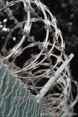 razor wire