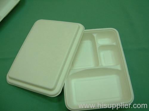 Biodegradable bagasse tray