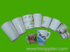 Disposable paper pulp cup