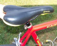 Cannondale Saeco CAD3 16 speed road bike/bicycle