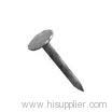 Zinc-plated Steel Nail