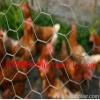 Chicken Wire Netting
