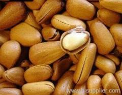 Pine nut