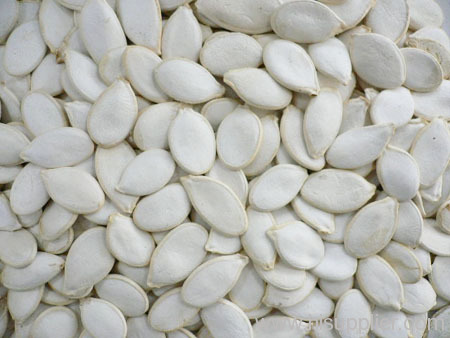 pumpkin seed