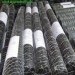 Galvanized Hexagonal Wire Mesh Rolls