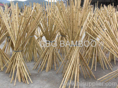 bamboo poles