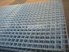 Galvanized Wire Mesh