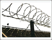 razor wire meshes