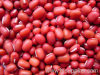 Red adzuki bean
