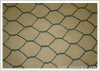 hexagonal wire mesh