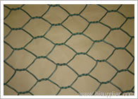 hexagonal wire mesh