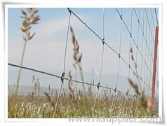 mesh grassland fencing