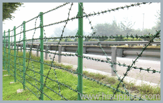 Barbed Wires