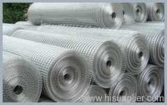 Galvanized Welded Wire Mesh