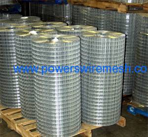 Electro galvanized Welded Wire Mesh Roll