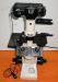 OLYMPUS CK2 INVERTER TRINOCULAR MICROSCOPE W/CAMERA