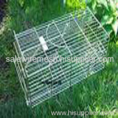 raccoon cage trap