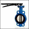 Butterfly Valve