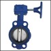 Wafer type butterfly valve